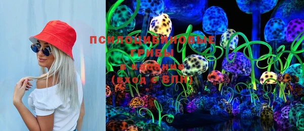 эйфоретик Новозыбков
